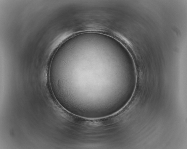 X0000113541415200909181147
