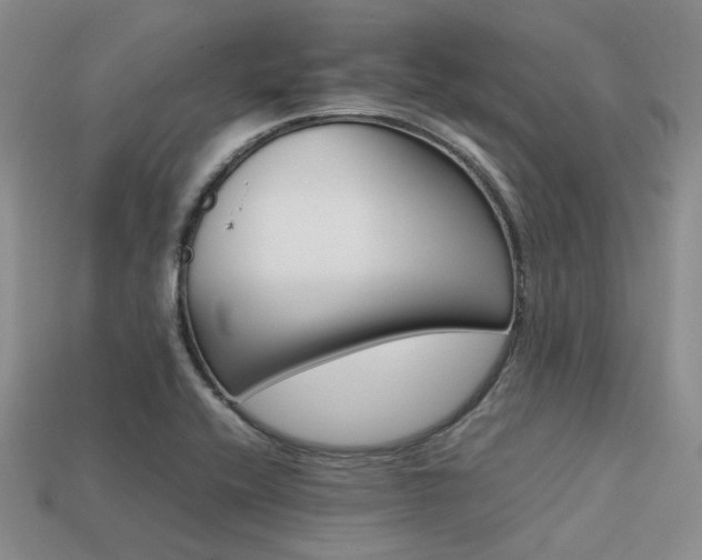 X0000113541416200909181147
