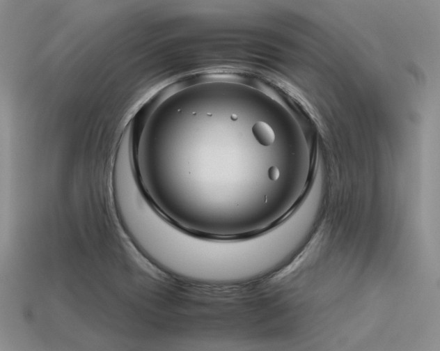 X0000113541417200909181147