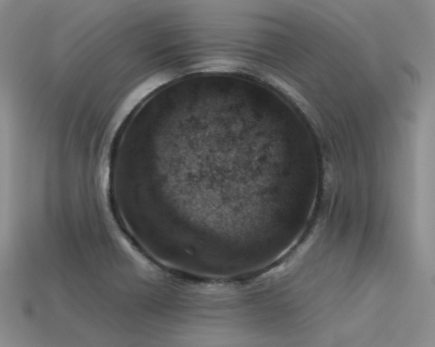 X0000113541418200909181147