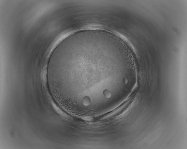 X0000113541421200909181147