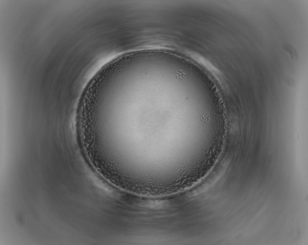 X0000113541423200909181147
