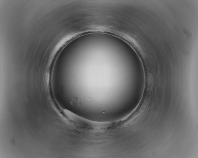 X0000113541424200909181147