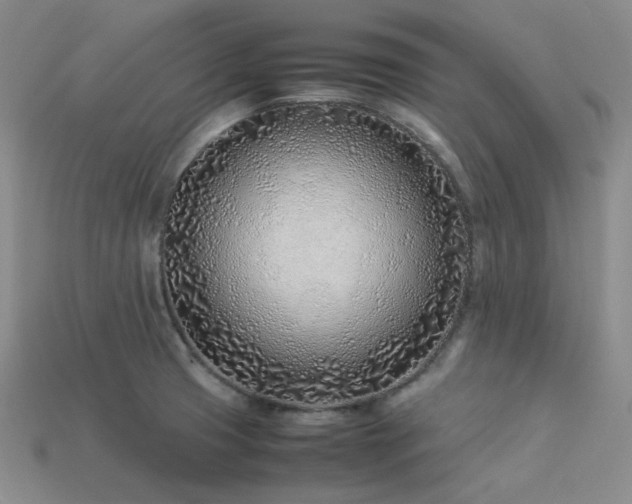 X0000113541425200909181147