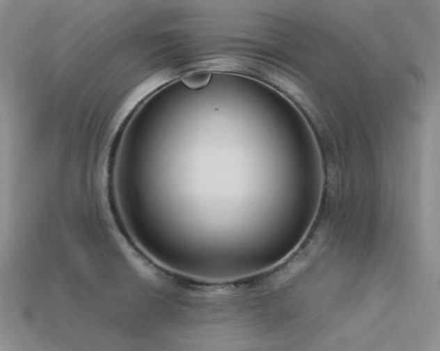 X0000113541426200909181147