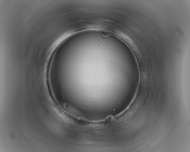 X0000113541427200909181147
