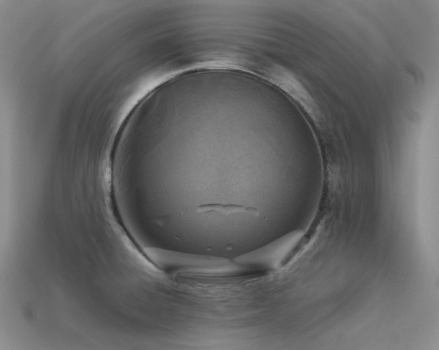 X0000113541428200909181147