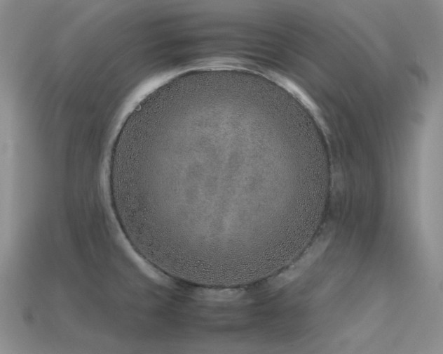 X0000113541429200909181147