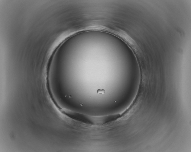 X0000113541430200909181147