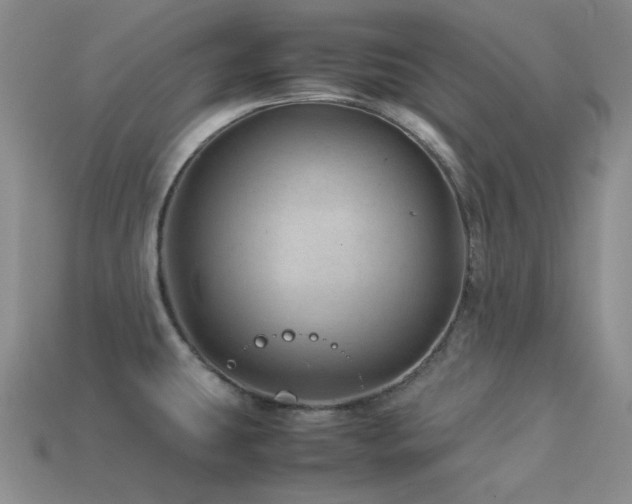 X0000113541431200909181147