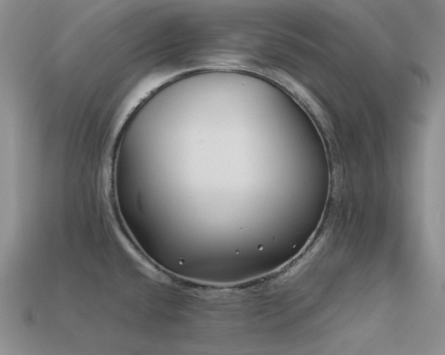 X0000113541432200909181147