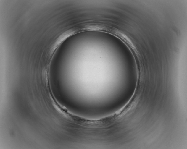 X0000113541433200909181147