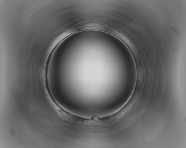 X0000113541434200909181147