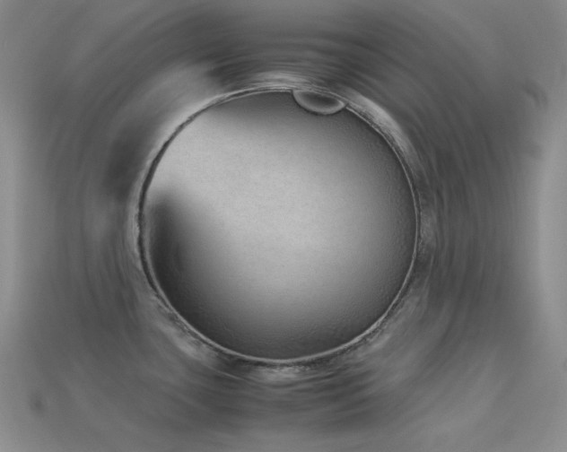 X0000113541435200909181147