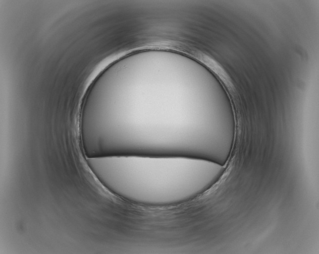X0000113541436200909181147