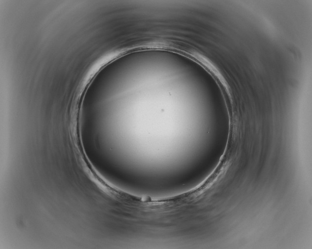 X0000113541437200909181147