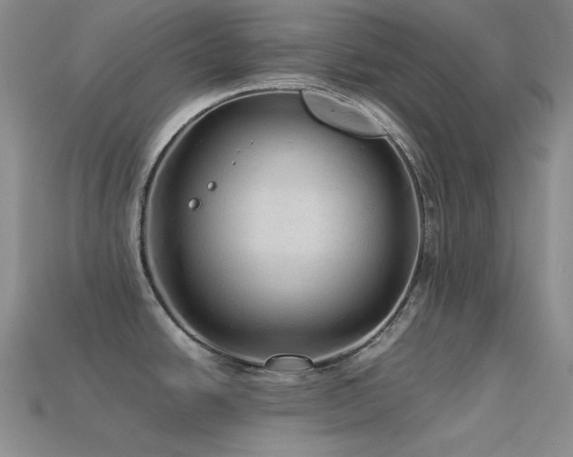 X0000113541438200909181147