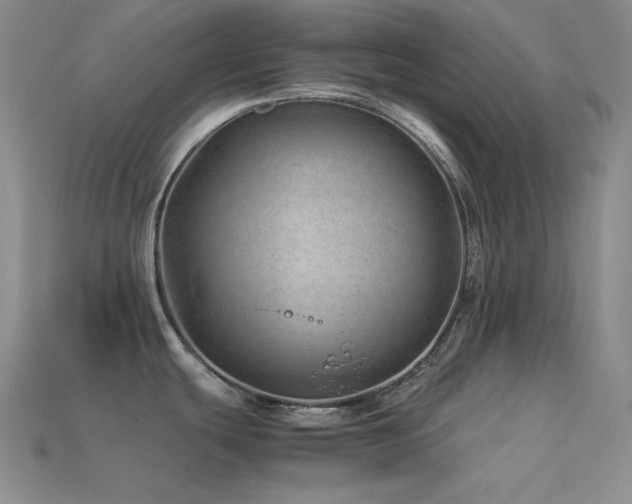 X0000113541439200909181147