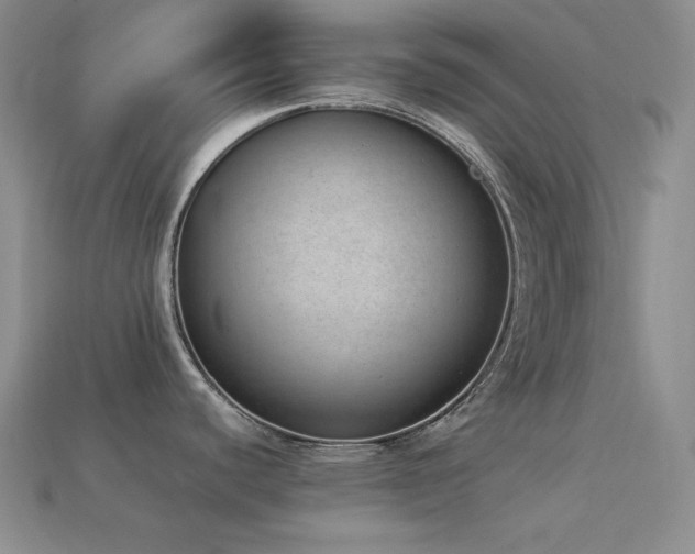 X0000113541440200909181147
