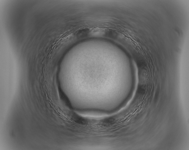 X0000113541441200909181147