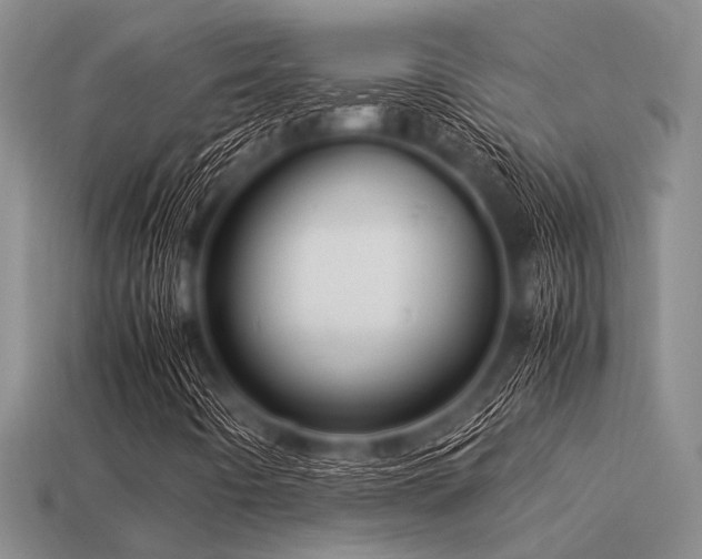 X0000113541442200909181147