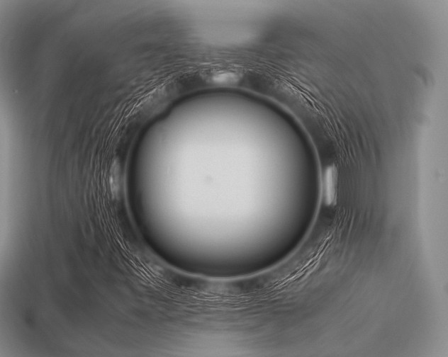 X0000113541443200909181147