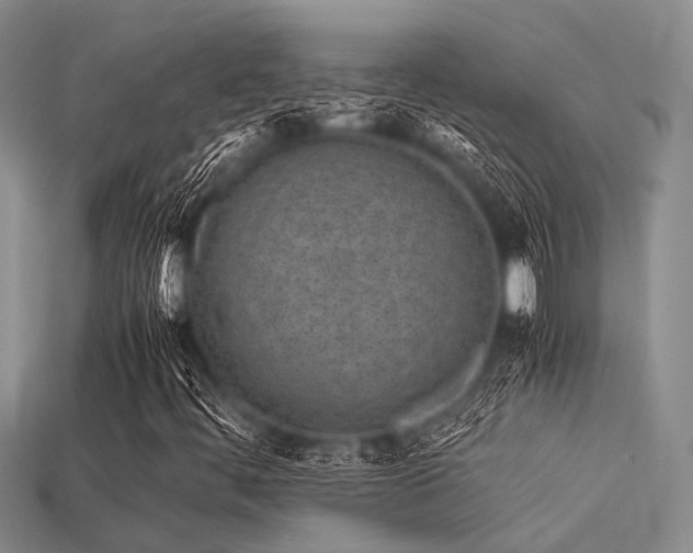X0000113541444200909181147