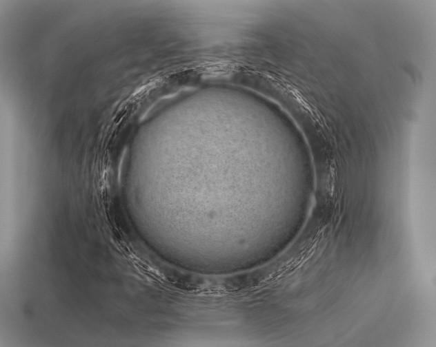 X0000113541445200909181147