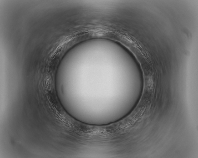 X0000113541446200909181147