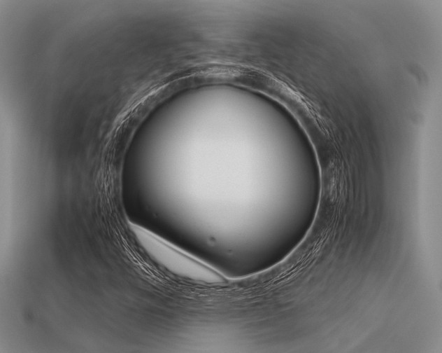 X0000113541448200909181147