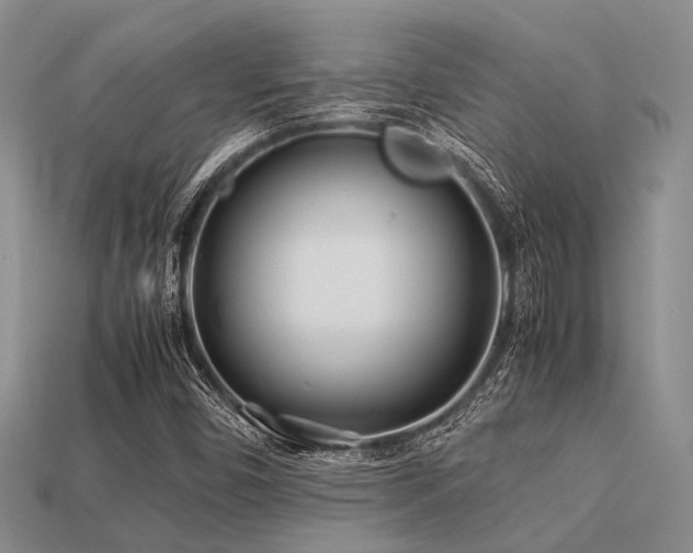 X0000113541450200909181147