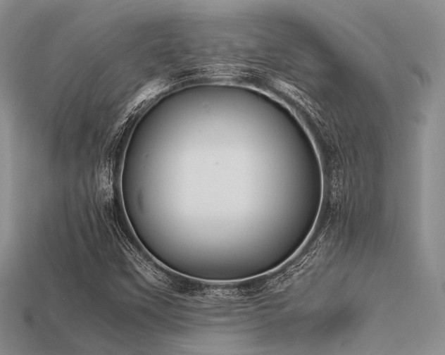 X0000113541451200909181147