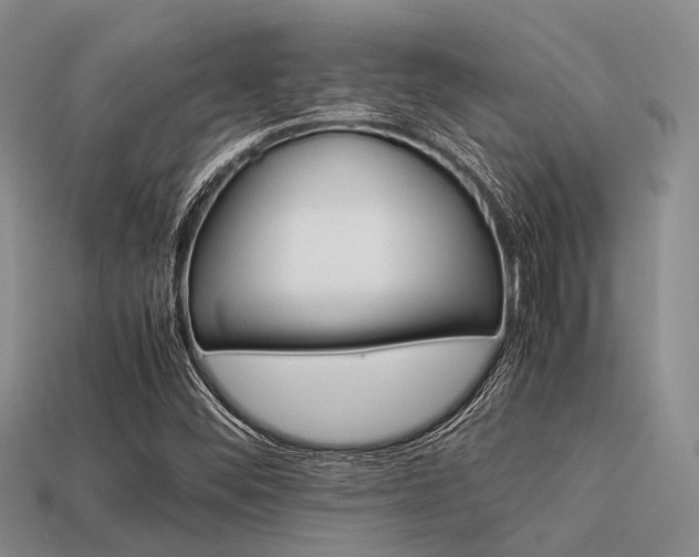X0000113541452200909181146