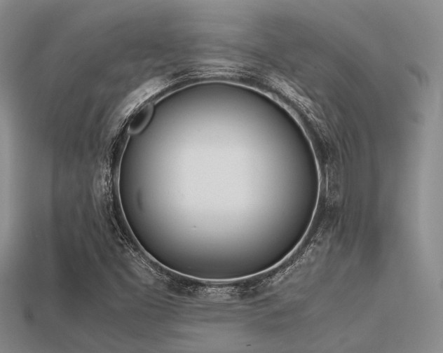 X0000113541453200909181146