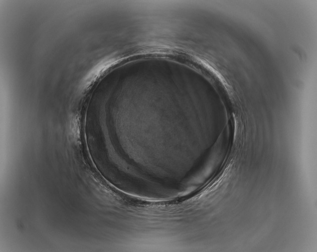 X0000113541455200909181146
