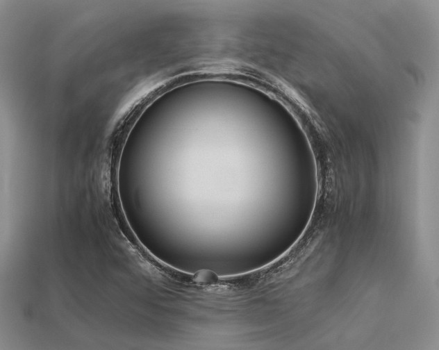 X0000113541456200909181146