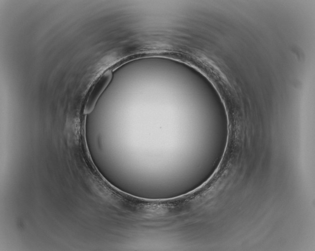 X0000113541457200909181146