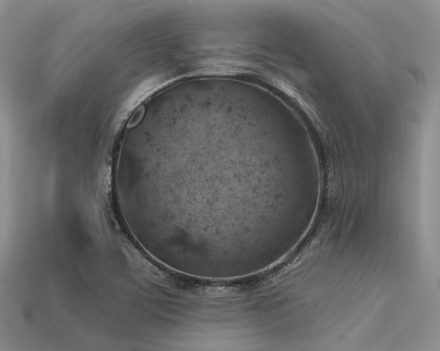 X0000113541459200909181146