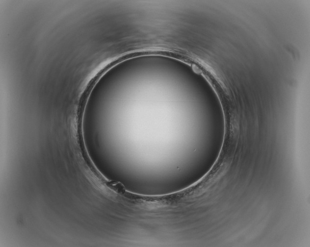 X0000113541460200909181146