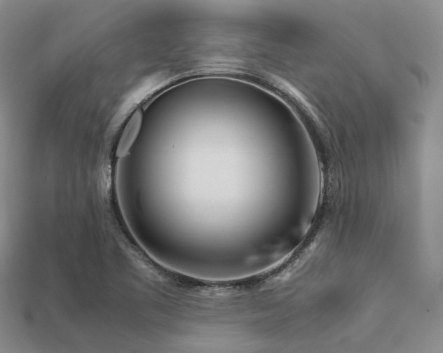 X0000113541461200909181146