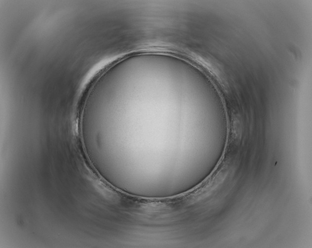 X0000113541462200909181146