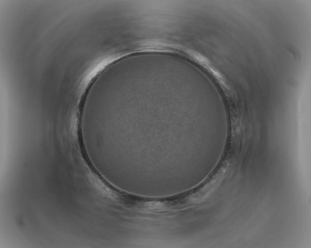 X0000113541463200909181146