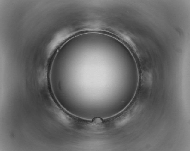 X0000113541464200909181146