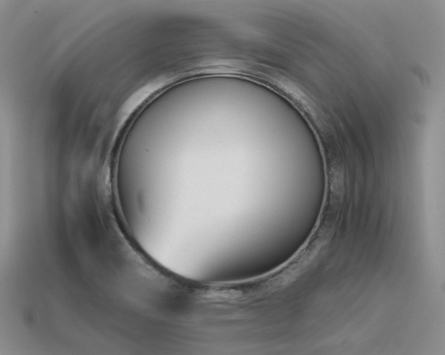 X0000113541466200909181146