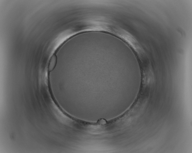 X0000113541468200909181146