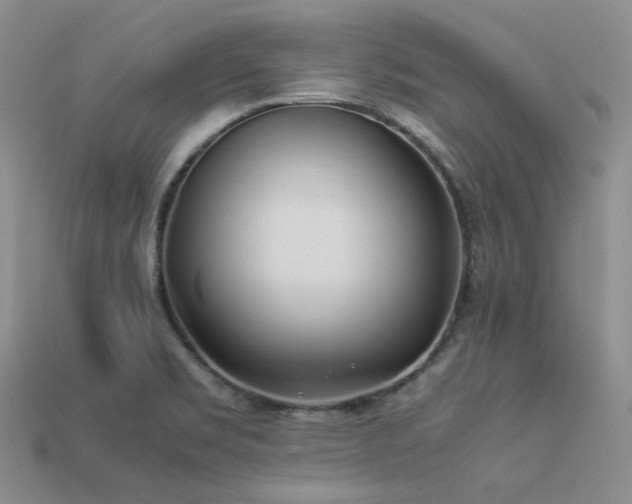 X0000113541469200909181146