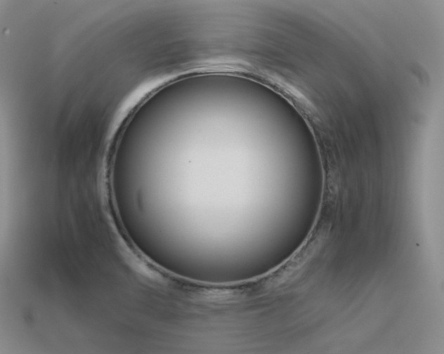 X0000113541470200909181146