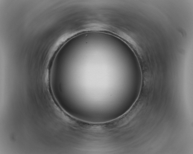 X0000113541472200909181146