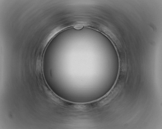 X0000113541473200909181146