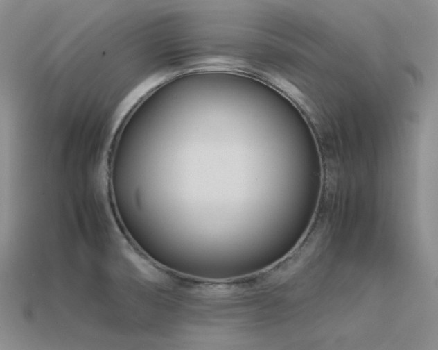 X0000113541474200909181146